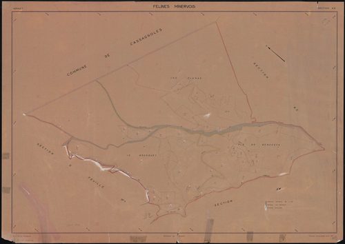 Félines-Minervois