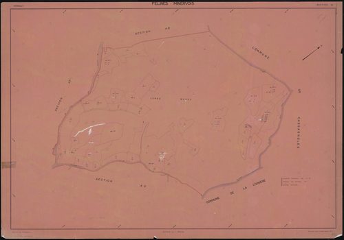 Félines-Minervois