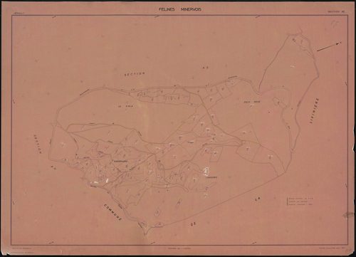 Félines-Minervois