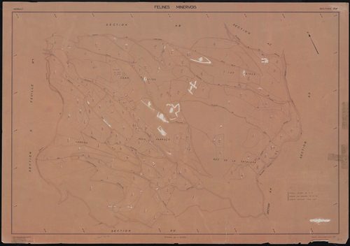 Félines-Minervois