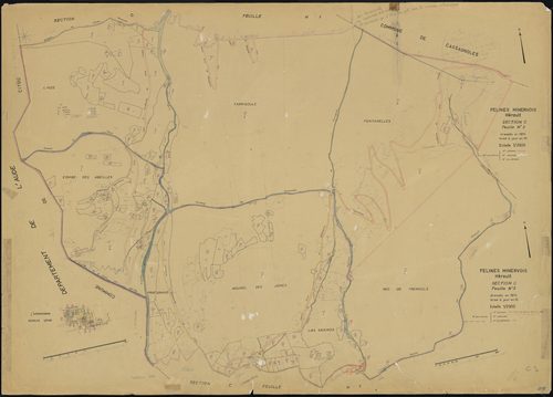 Félines-Minervois
