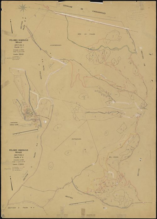 Félines-Minervois