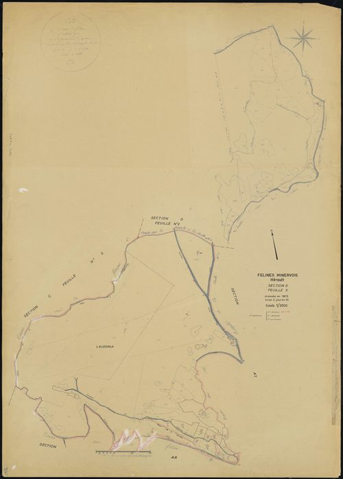 Félines-Minervois