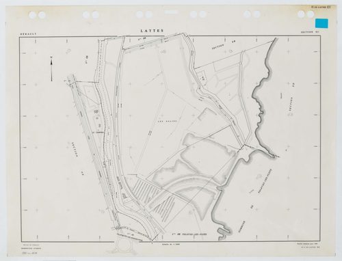 Lattes