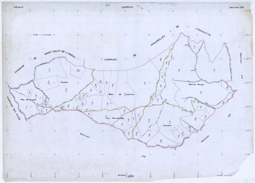 Lauroux
