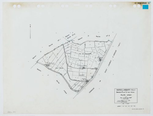 Marsillargues
