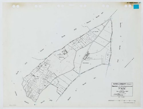 Marsillargues