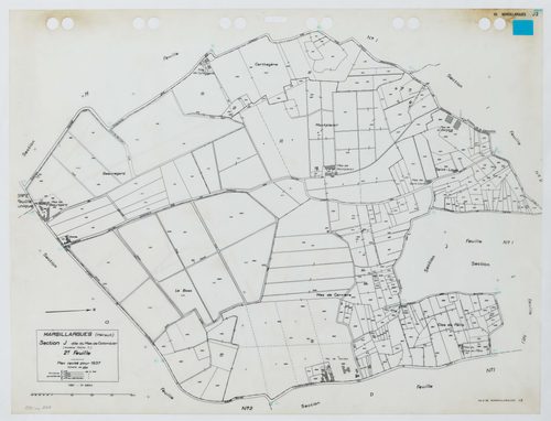 Marsillargues