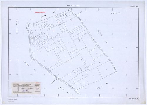 Mauguio