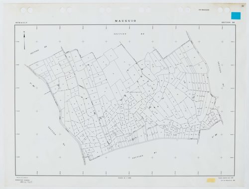 Mauguio