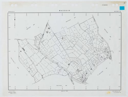 Mauguio