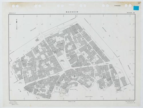 Mauguio