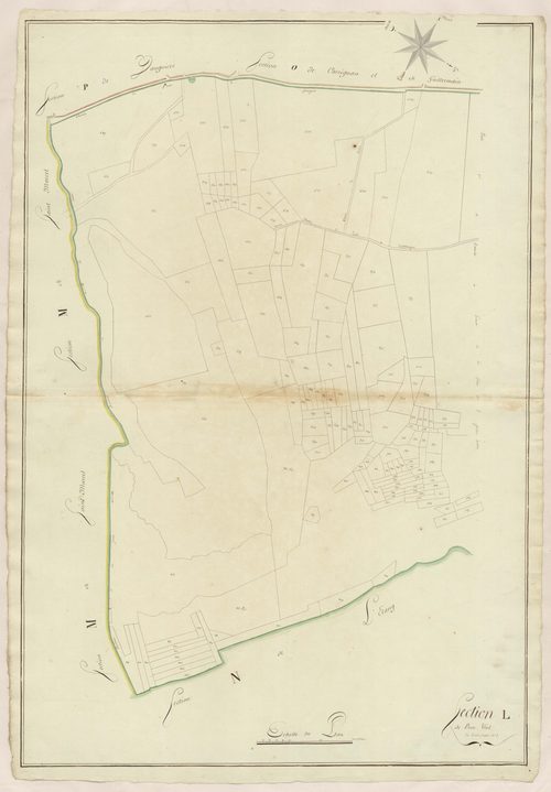 Mauguio