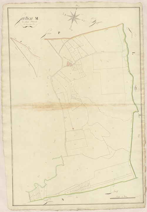 Mauguio