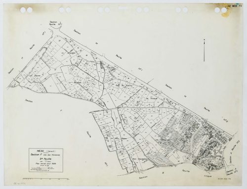 Mèze