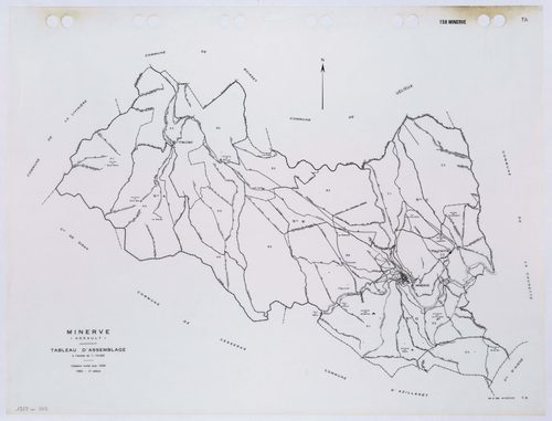 Minerve