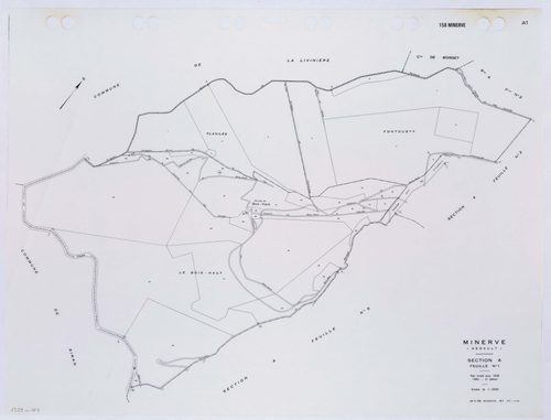 Minerve