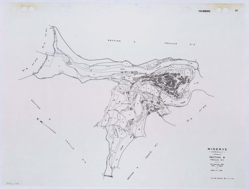 Minerve