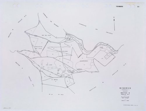 Minerve