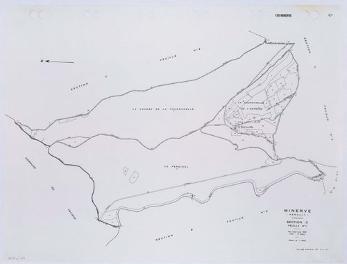 Minerve