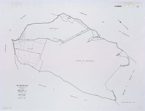 Minerve