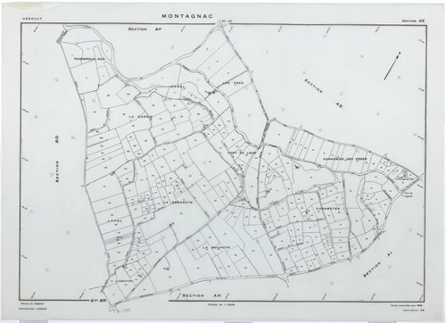 Montagnac