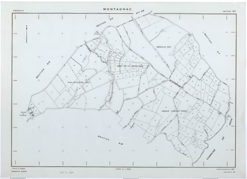 Montagnac