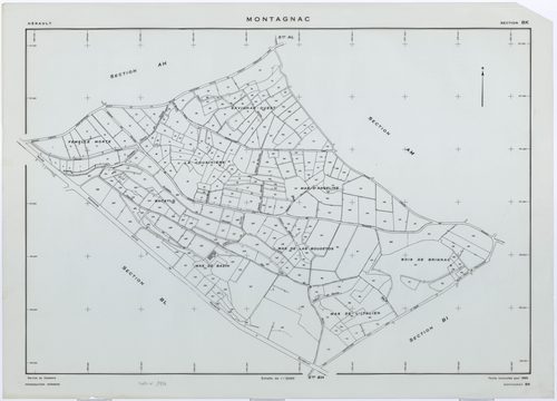 Montagnac