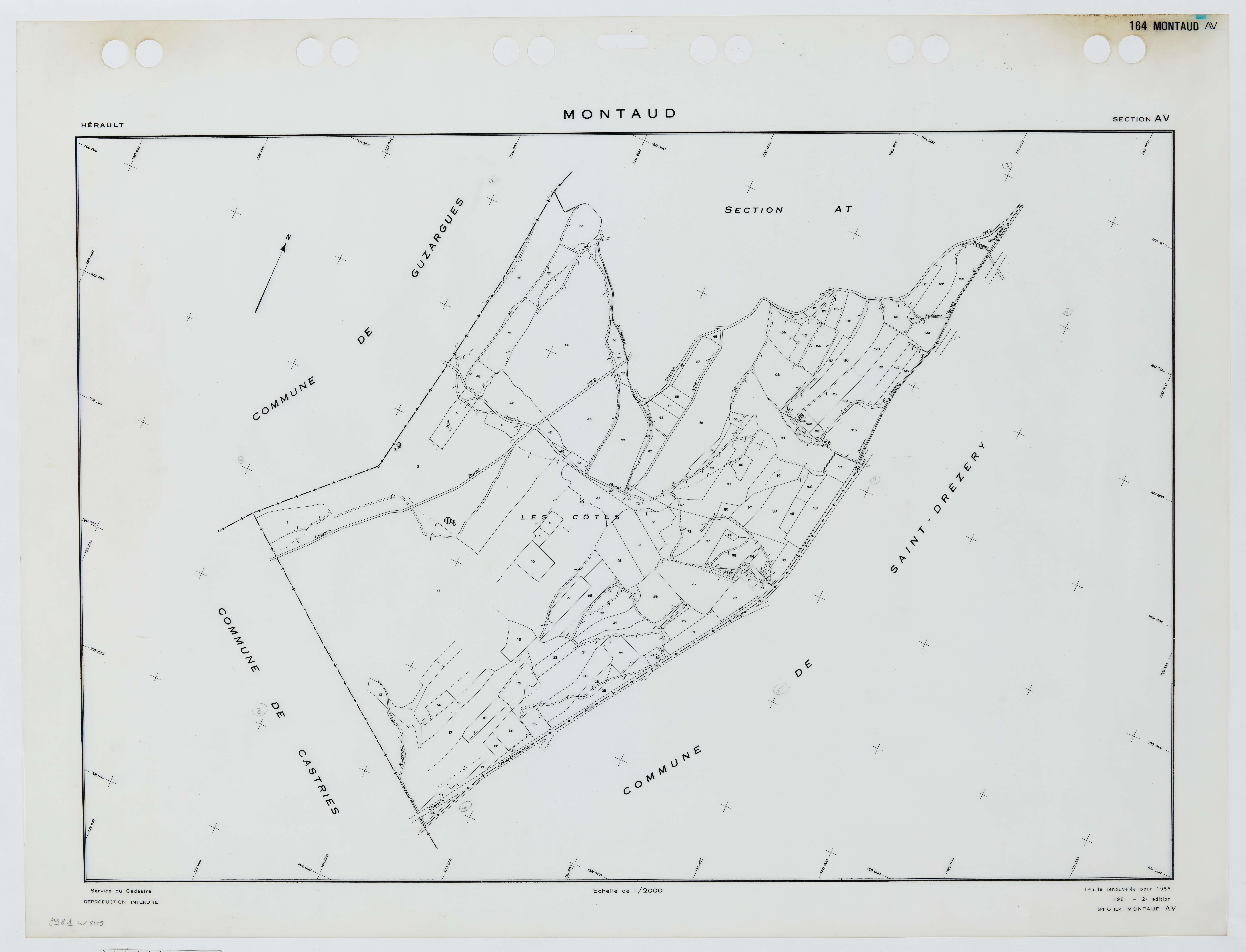 Montaud