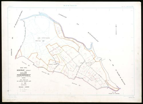 Montaud