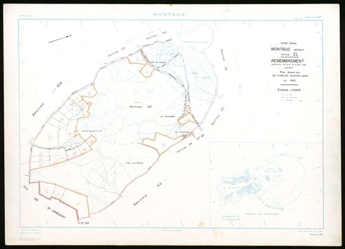 Montaud