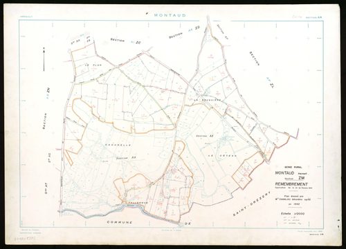Montaud