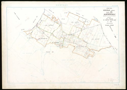Montaud