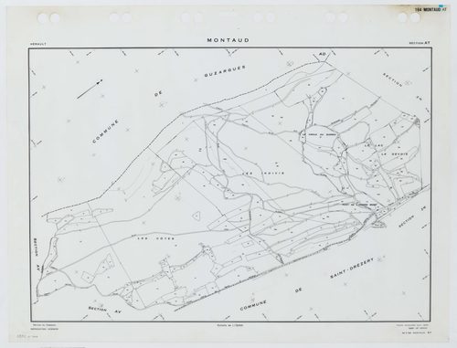 Montaud