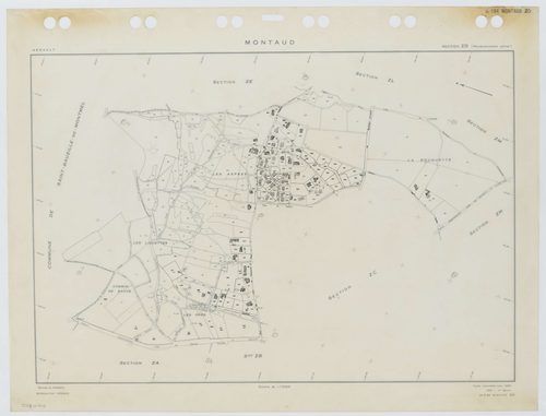 Montaud