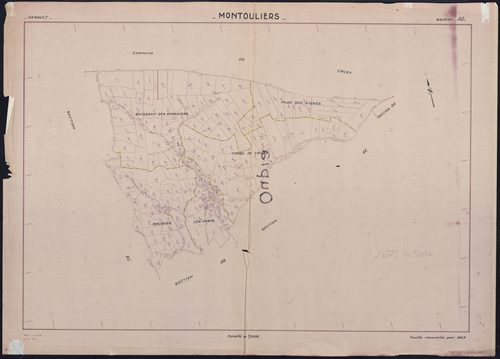 Montouliers