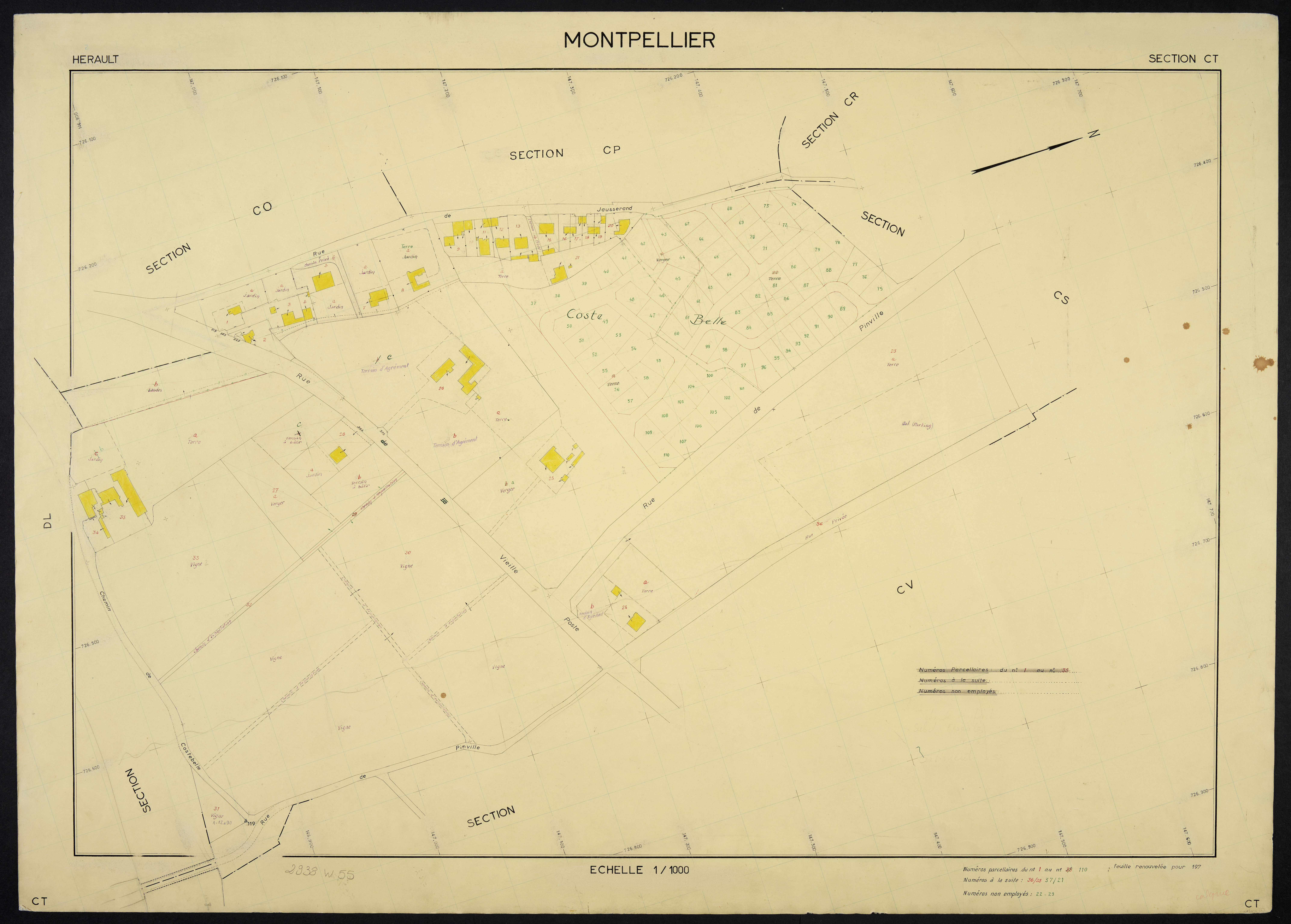 Montpellier