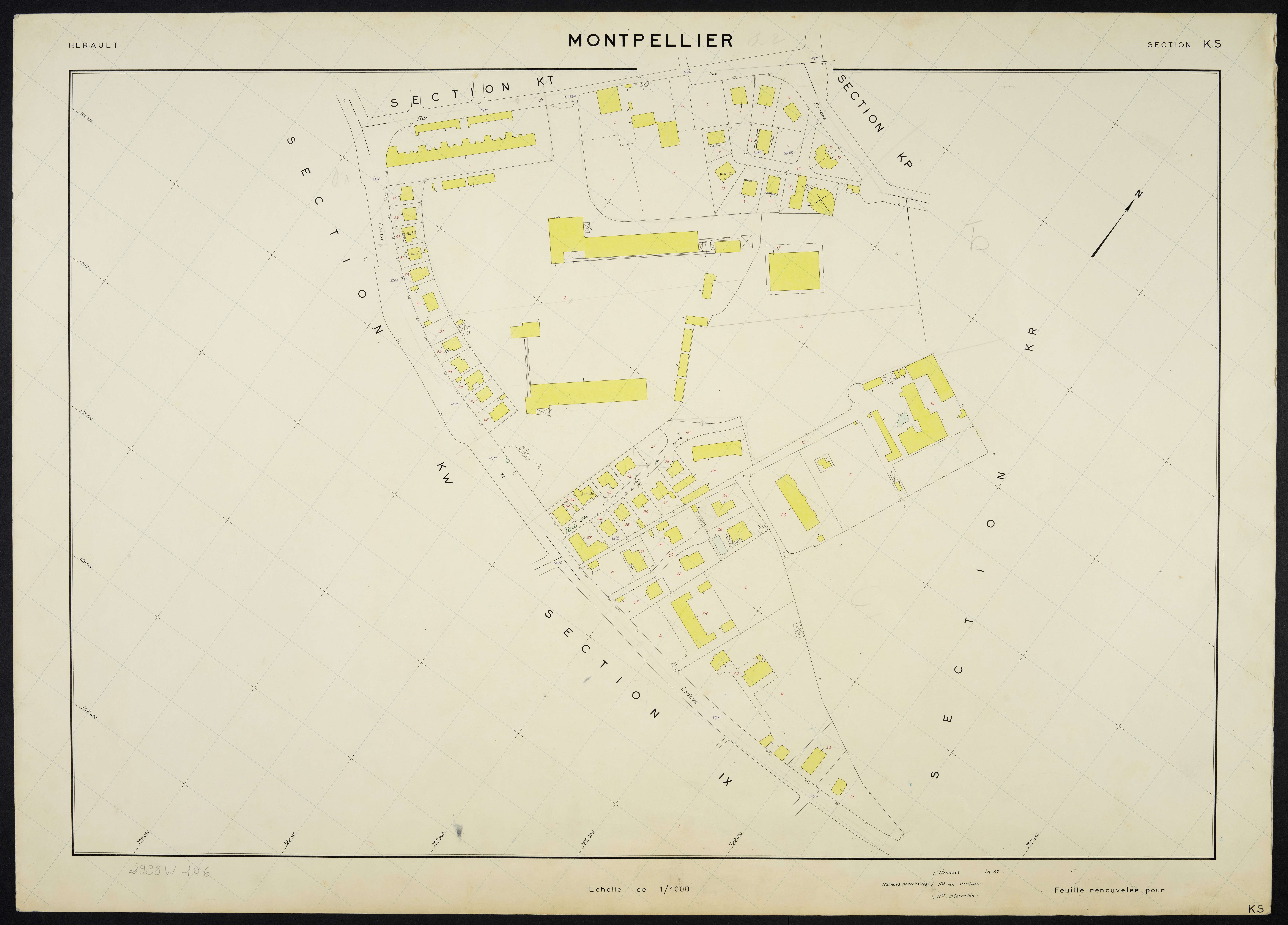 Montpellier