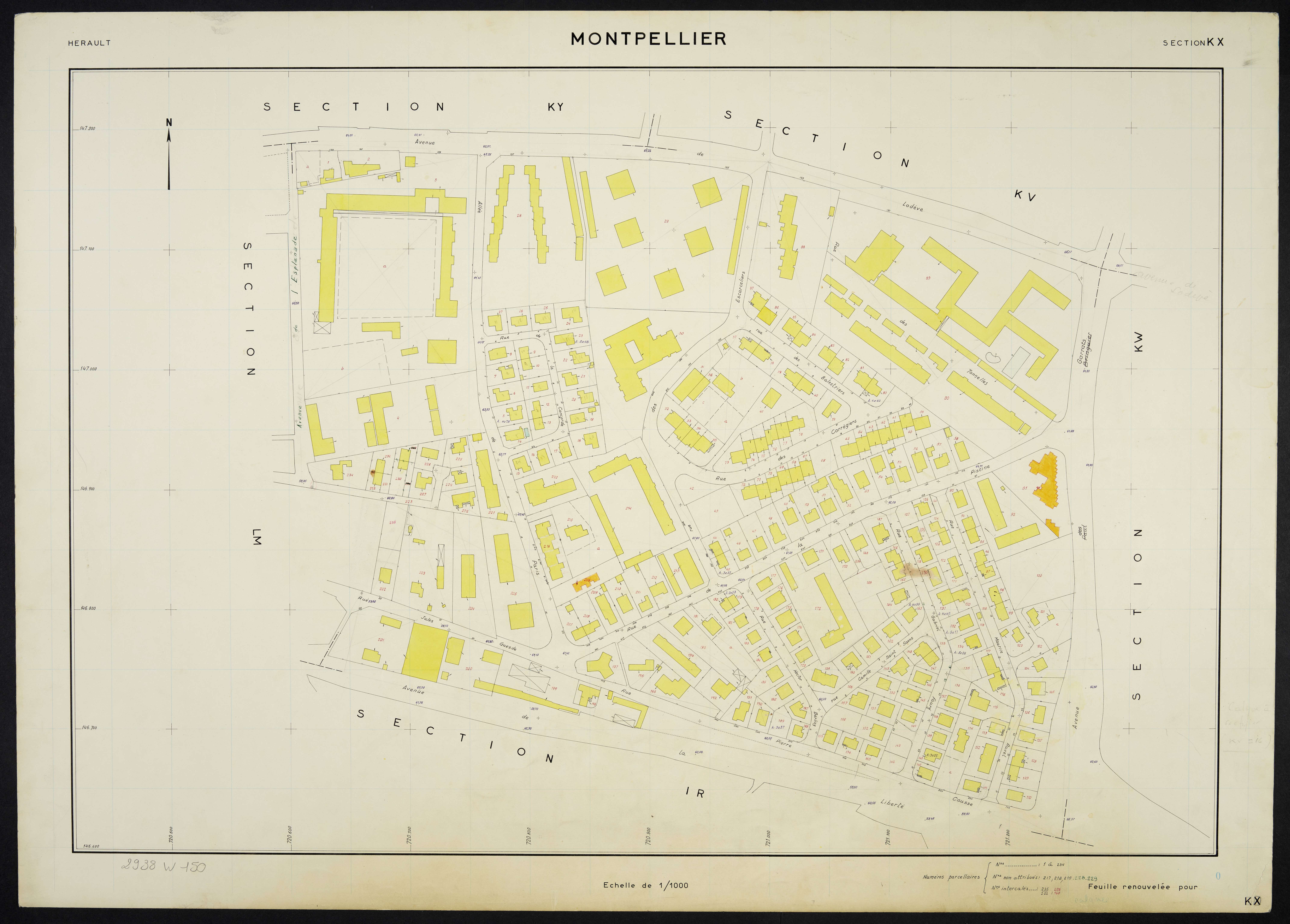 Montpellier