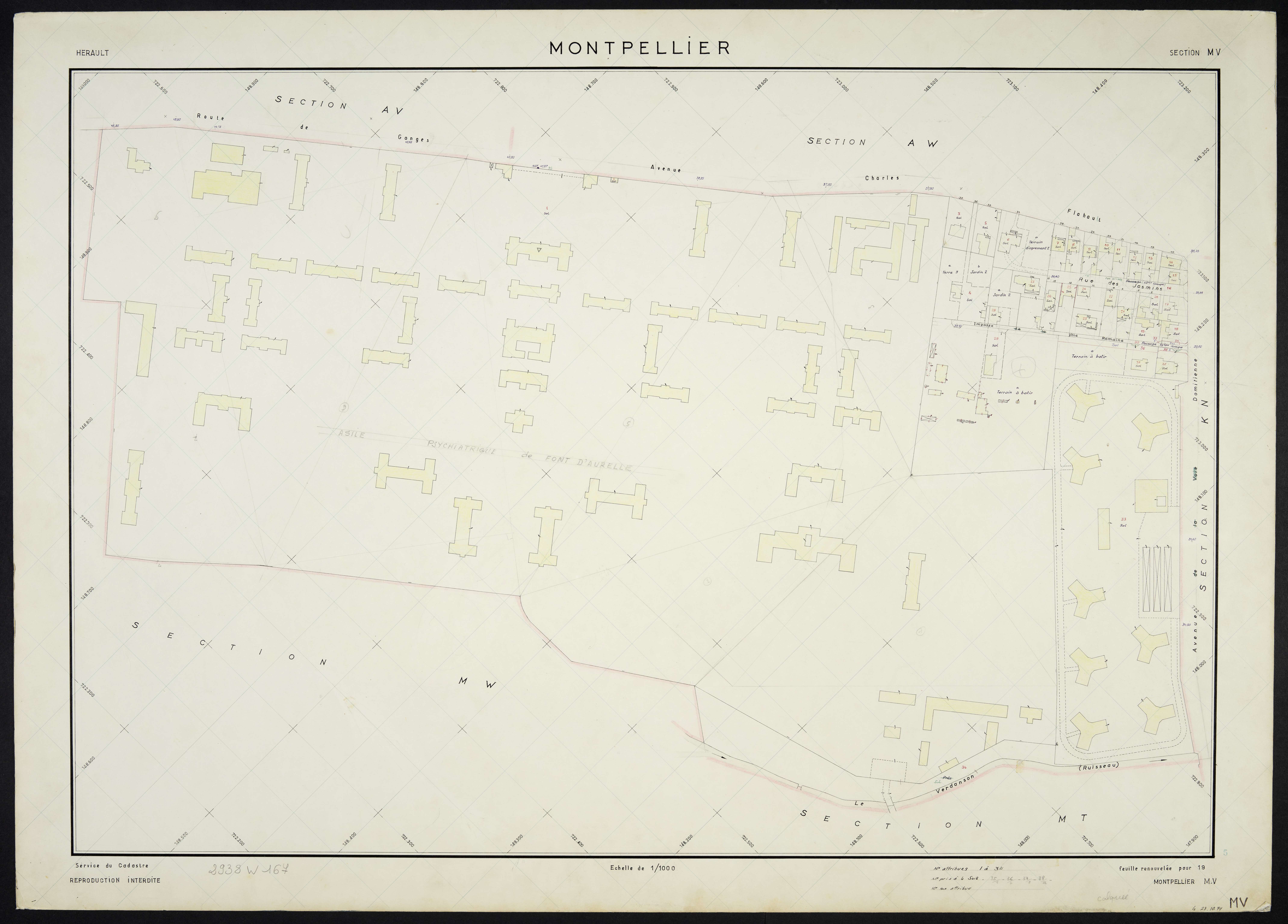 Montpellier