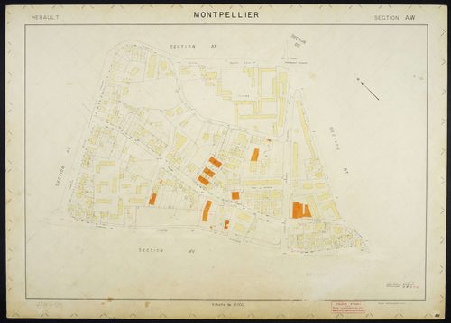 Montpellier