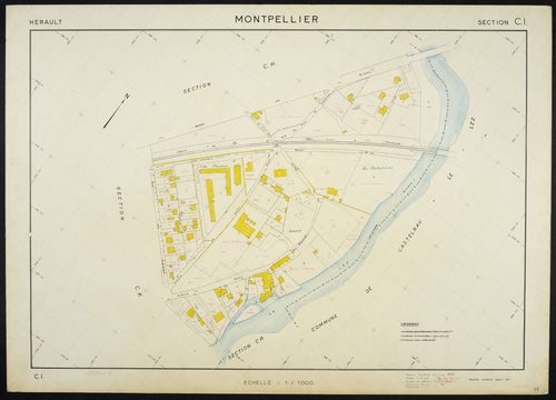 Montpellier