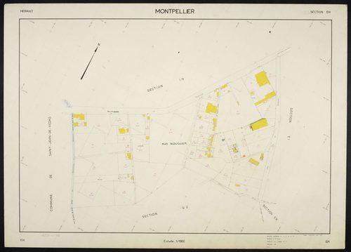 Montpellier