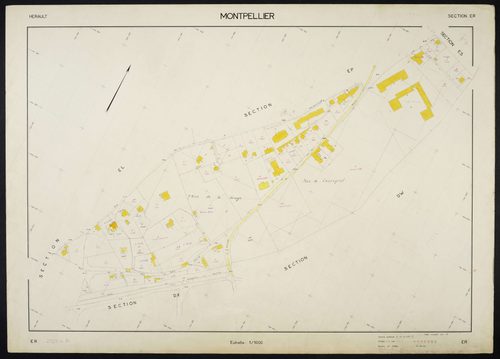 Montpellier
