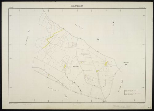 Montpellier