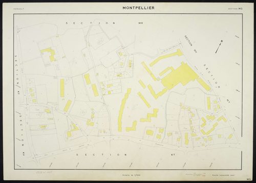 Montpellier