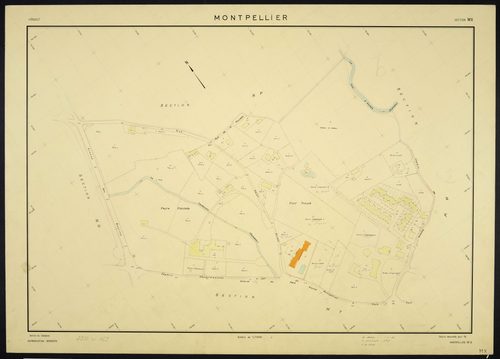 Montpellier