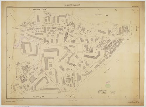Montpellier