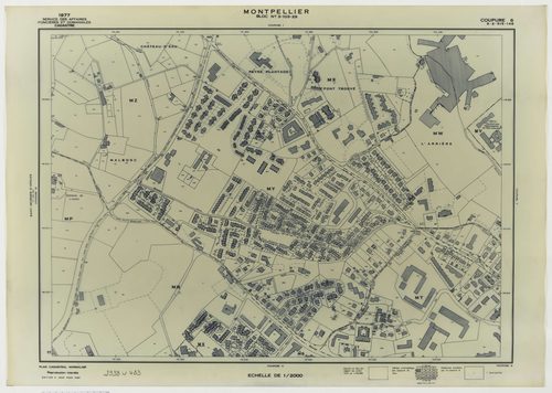 Montpellier