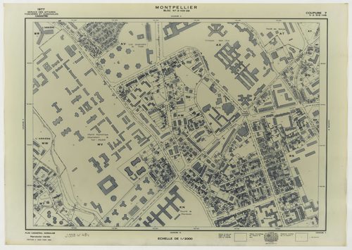 Montpellier